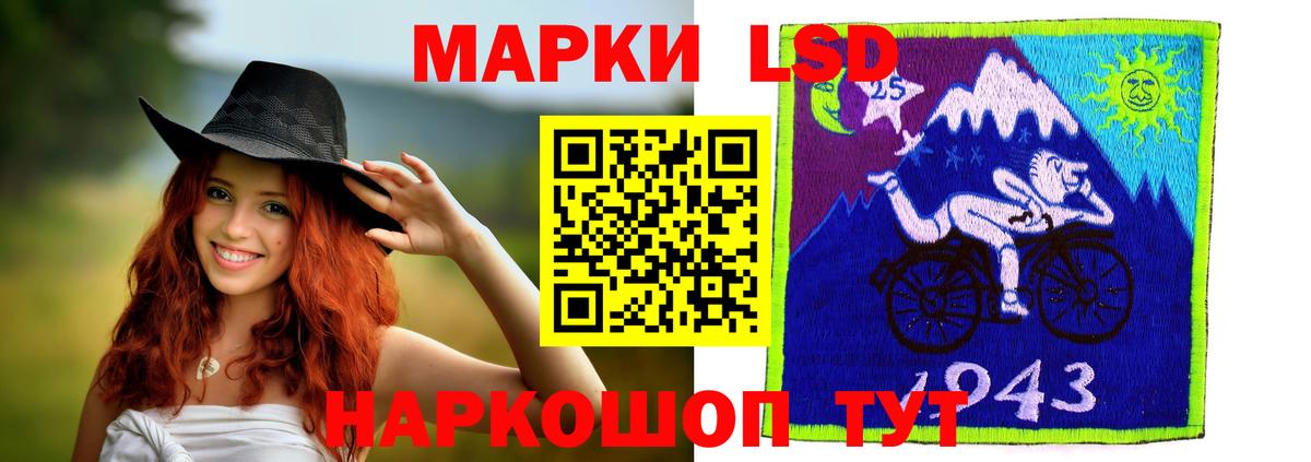 APVP Тамбов