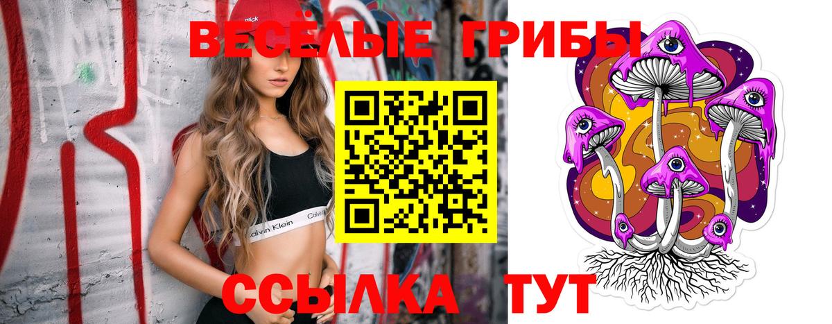 Псилоцибиновые грибы мицелий Тамбов