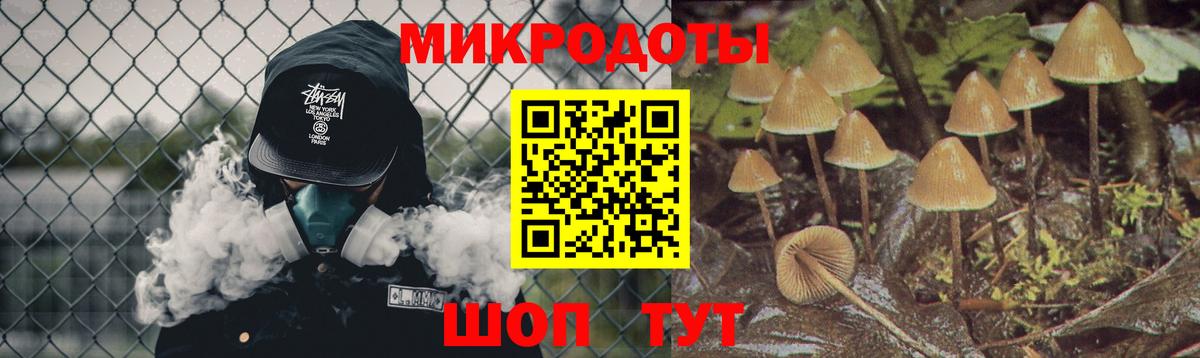 Тамбов  Галлюциногенные грибы MAGIC MUSHROOMS  Вход с VPN 