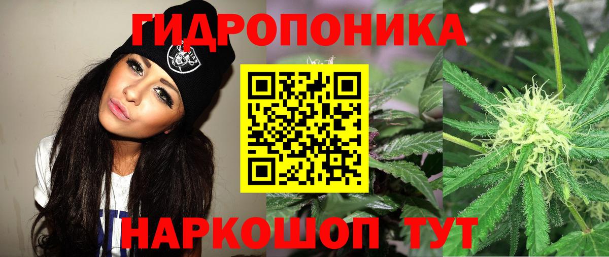 Марихуана ГИДРОПОН  Бошки Шишки AK-47  Тамбов  Каннабис Amnesia  Вход с VPN 